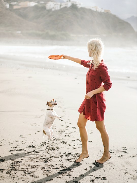 Girl With Small Dog Playing On A Beach