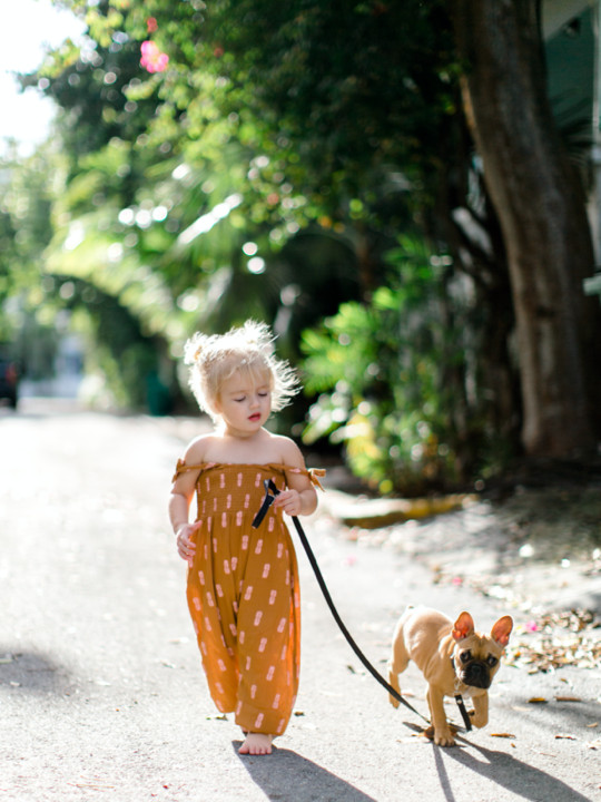 Child Walking With Puppy